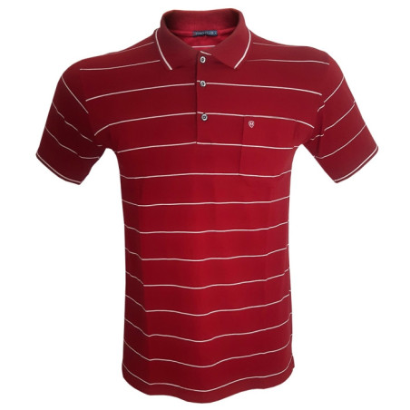 Polo Homme Rayée